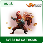 qq88-03
